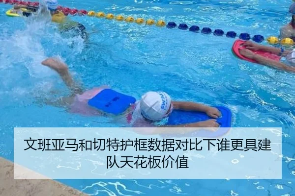 文班亚马和切特护框数据对比下谁更具建队天花板价值