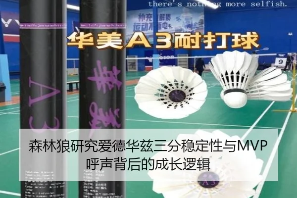 森林狼研究爱德华兹三分稳定性与MVP呼声背后的成长逻辑